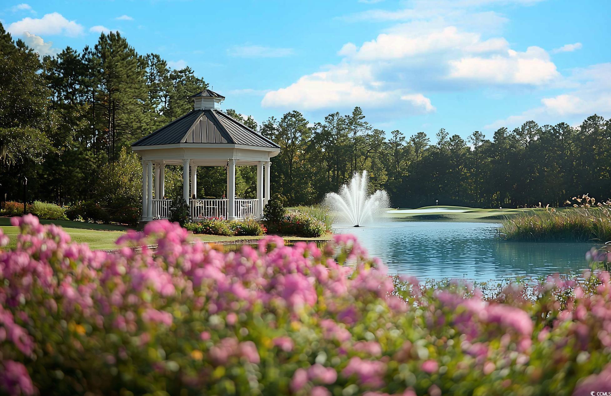 1100 Louise Costin Lane, Unit 1415 Murrells Inlet, SC 29576 - Photo 40 of 40