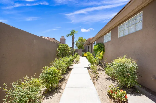 a view of a pathway with flower plants