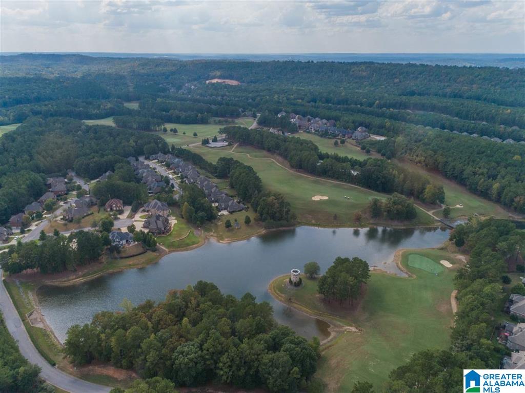 319 Kilkerran Lane Pelham, AL 35124 - Photo 43 of 45