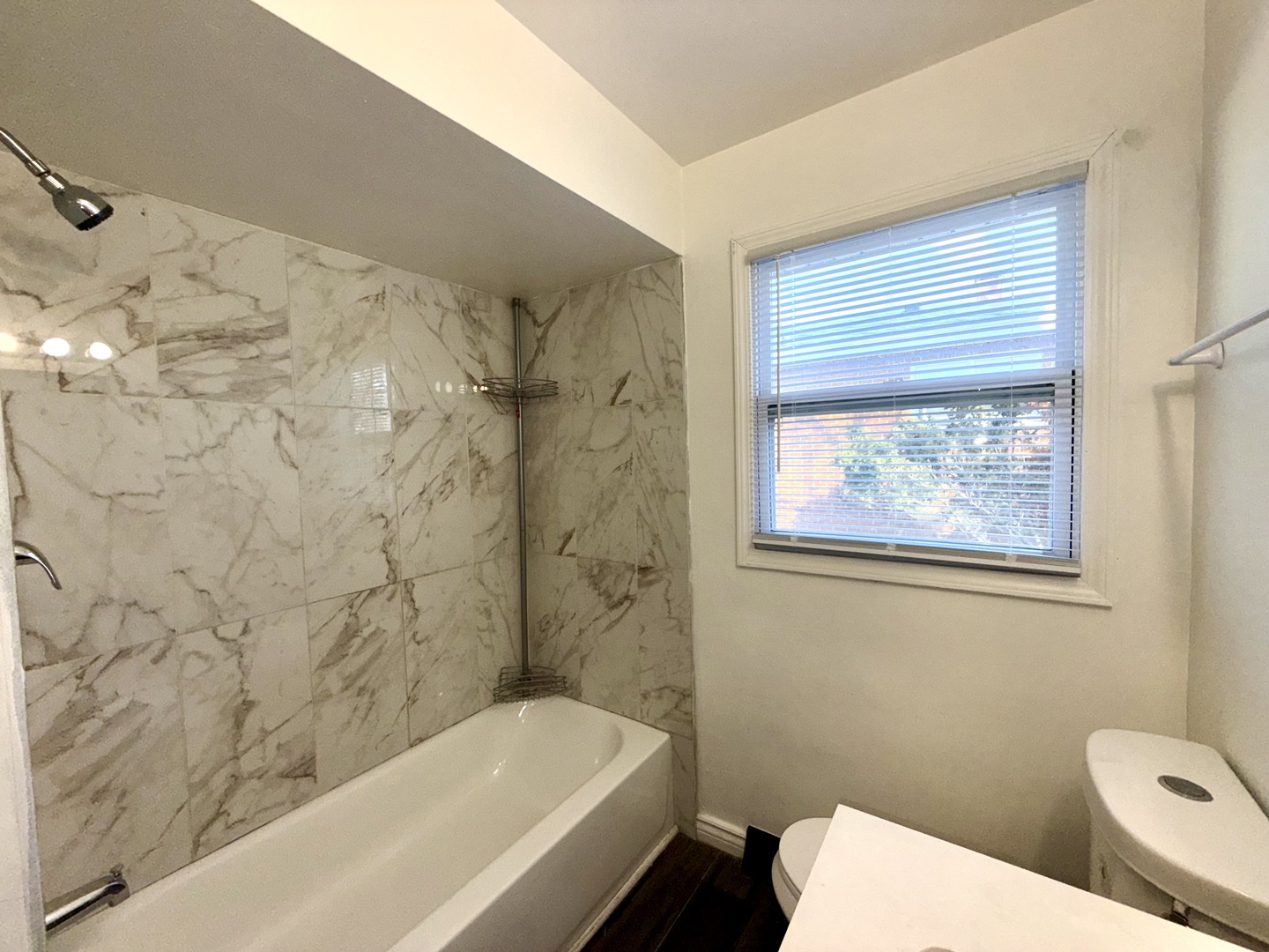 2217 West 156th Place Markham, IL 60426 - Photo 14 of 33