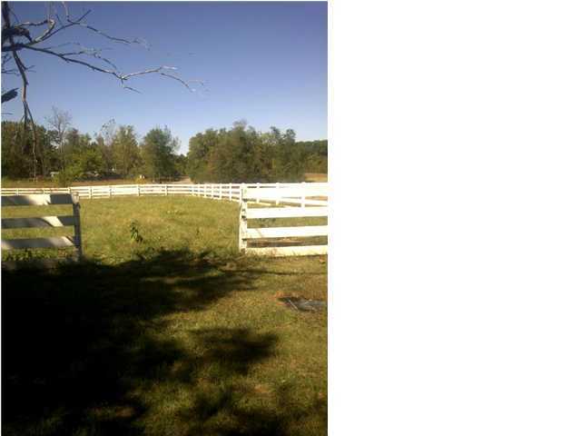 585 Mobley Road Ekron, KY 40117 - Photo 17 of 19 Additional Photo