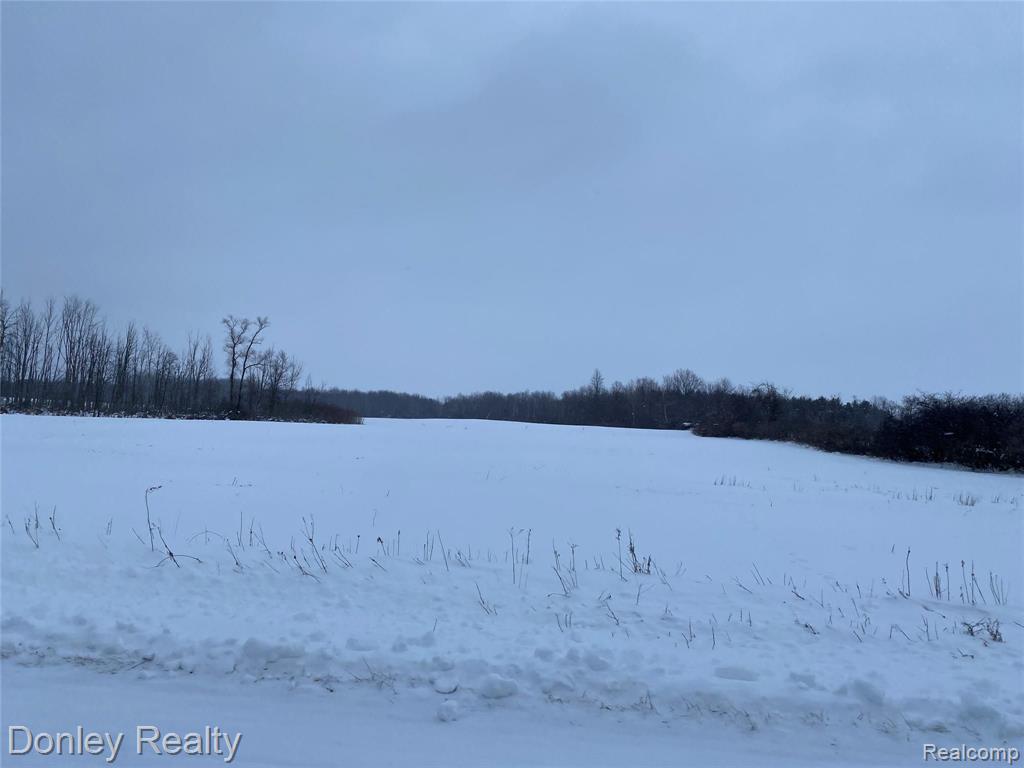 8978 Slattery Road Marlette, MI 48453 - Photo 4 of 4 Gallery Image 4