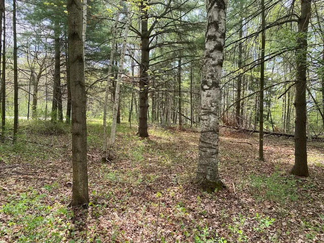 $72,500 | 0 West 12th Street, Washburn, WI 54891