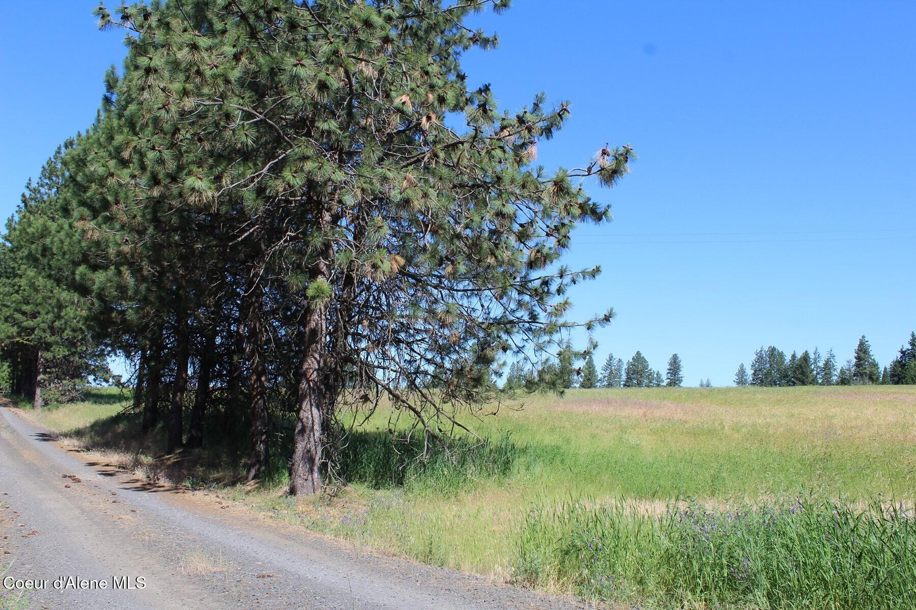 10 A Honor Road Harrison, ID 83833 - Photo 19 of 22 Parcel to the north