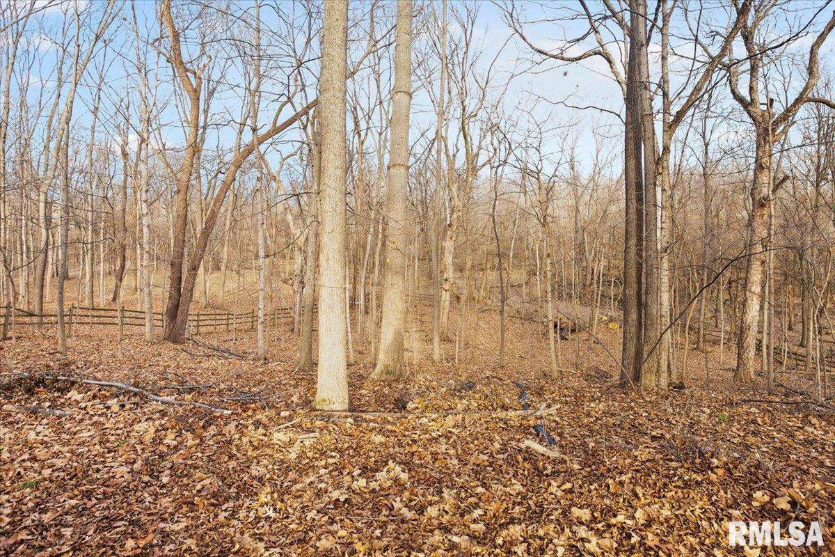 3709 West Bluffs Road Springfield, IL 62711 - Photo 35 of 35