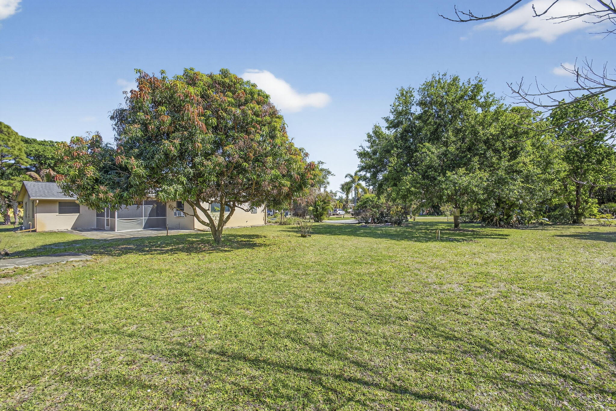 7107 181st Street Jupiter, FL 33458 - Photo 53 of 54 a view of a yard with a trees