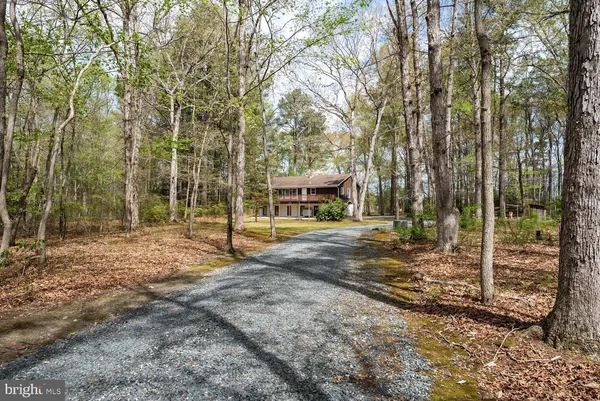 a view of a yard with plants and trees