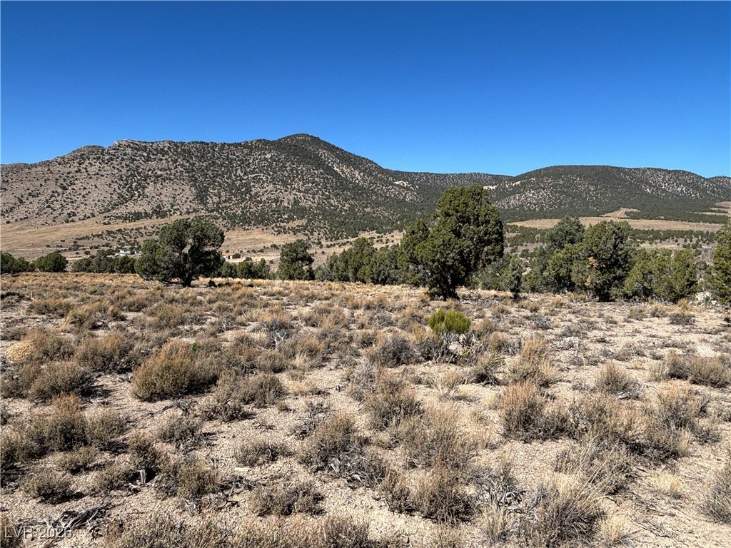 East Creek Ely, NV 89301 - Photo 4 of 11