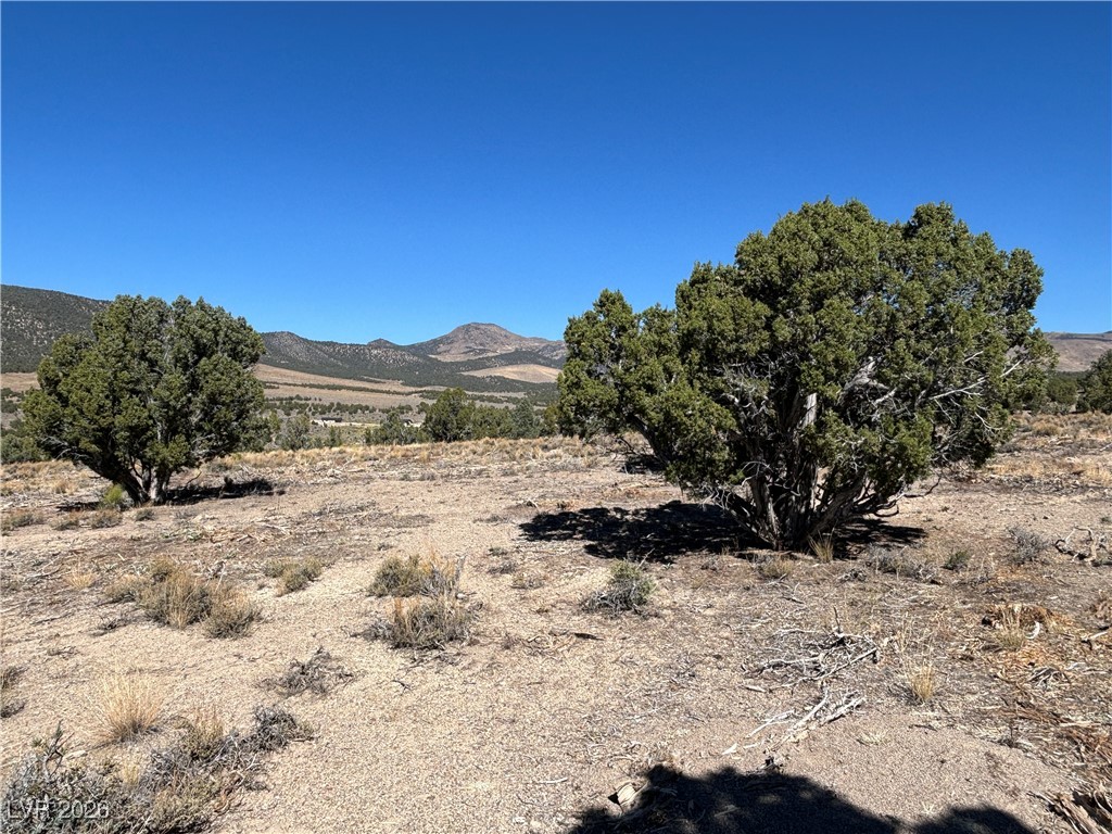 East Creek Ely, NV 89301 - Photo 8 of 11