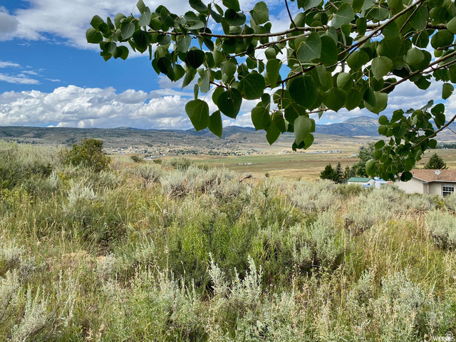 972 Ridgeway Loop, Unit 228 Garden City, UT 84028 - Photo 20 of 26 View of mountain background with rural landscape
