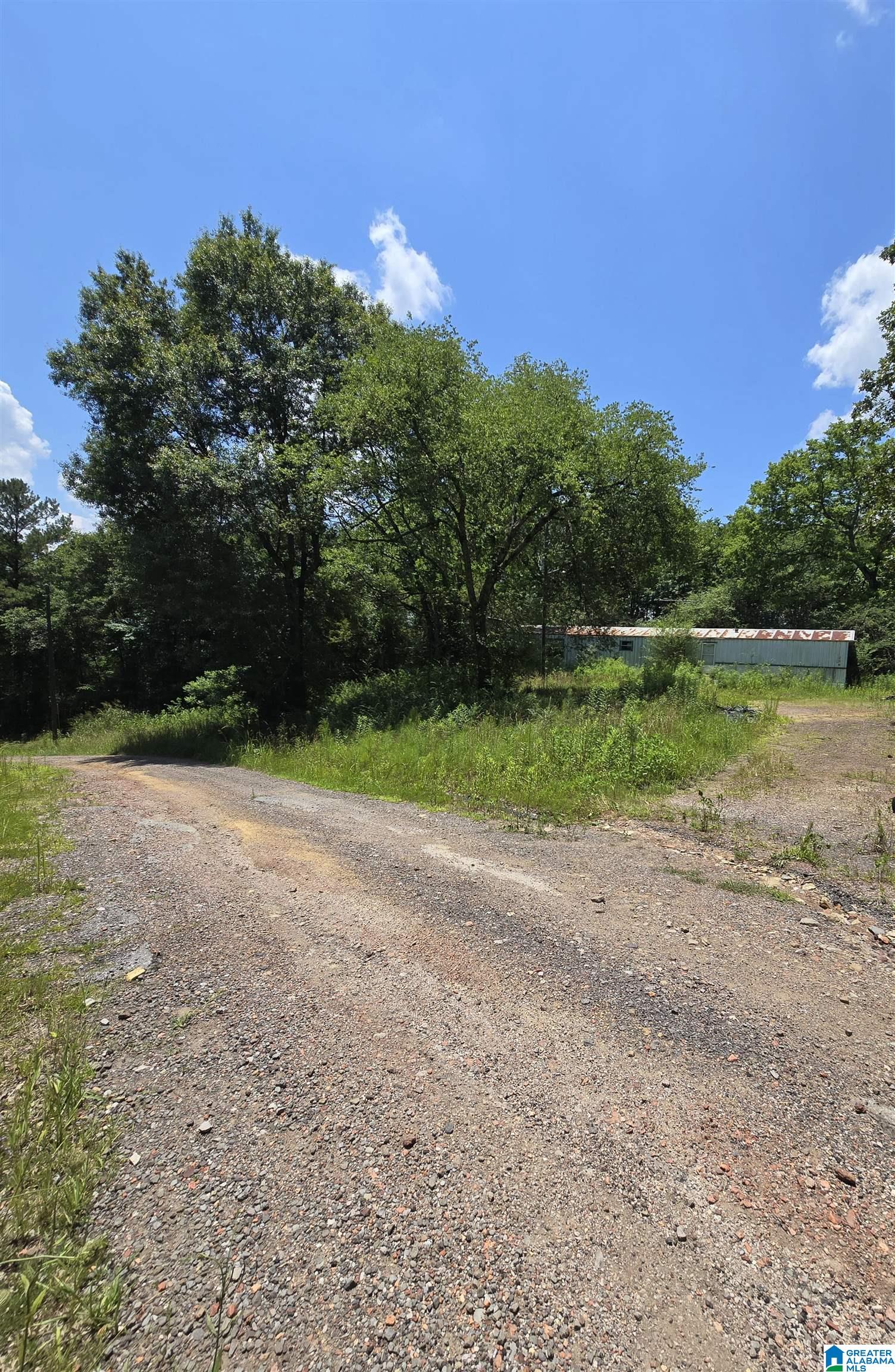 39 Thomas Road Cordova, AL 35550 - Photo 7 of 7