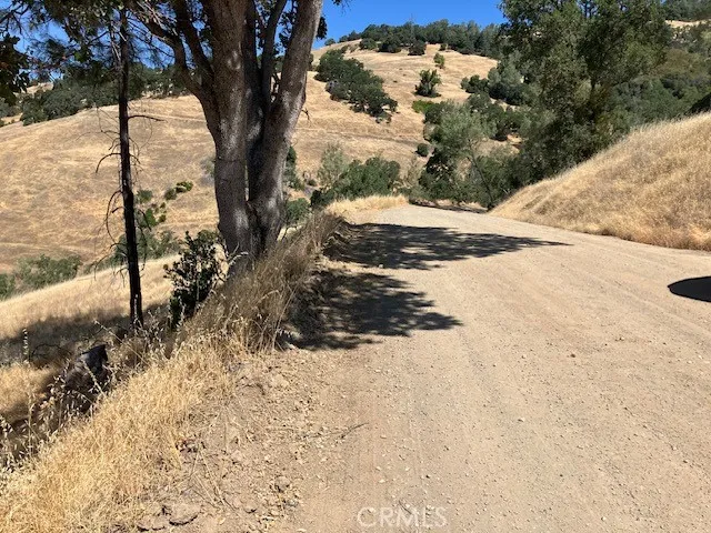 a view of a yard with wooden fence
