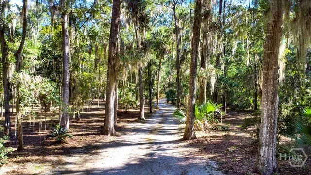 $2,500,000 | 331 Silver Stream Lane, Richmond Hill, GA 31324