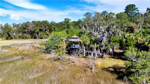 $2,500,000 | 331 Silver Stream Lane, Richmond Hill, GA 31324