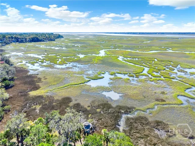 $2,500,000 | 331 Silver Stream Lane, Richmond Hill, GA 31324