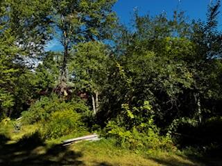 379 Winthrop Center Road Winthrop, ME 04364 - Photo 13 of 23 IMG_9393