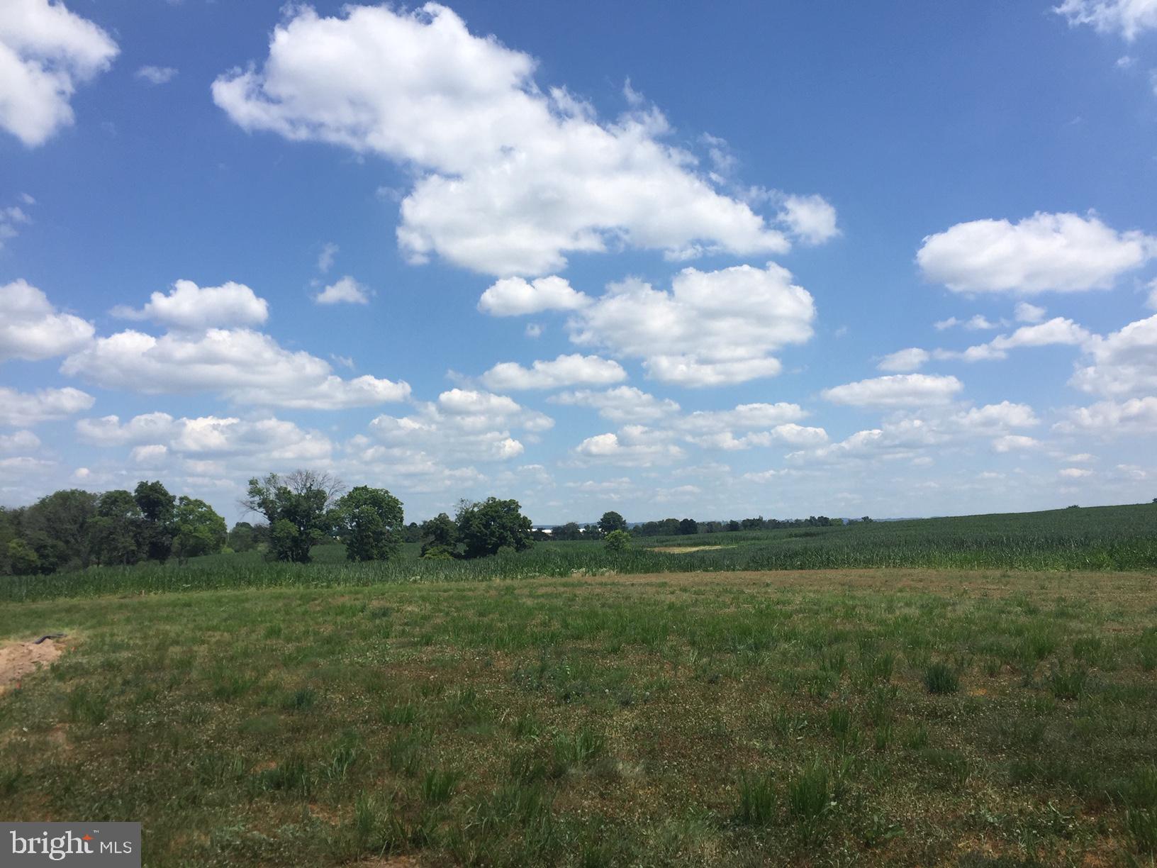 9809 Masser Road Frederick, MD 21702 - Photo 2 of 10 a view of a big yard with lots of green space
