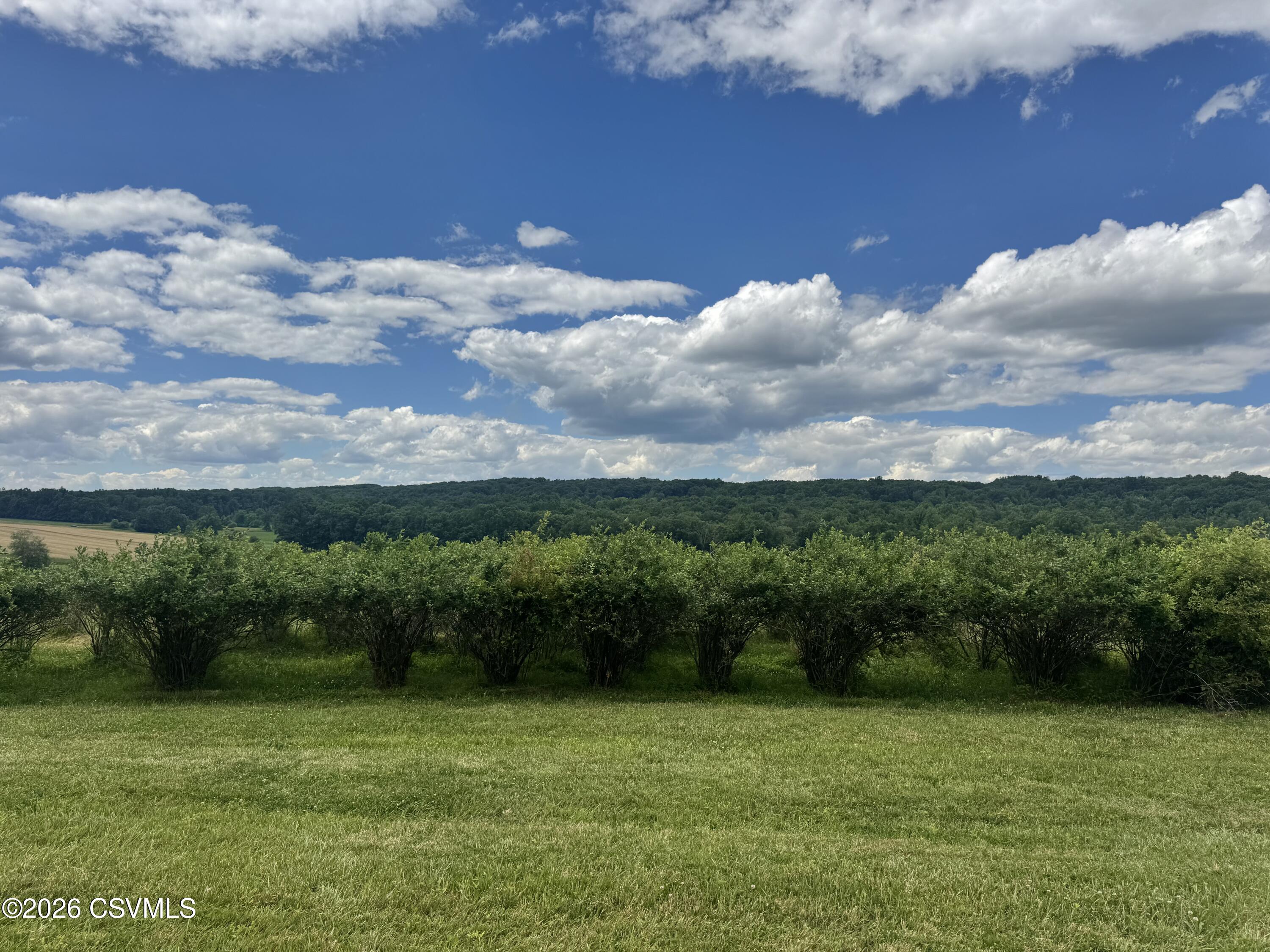 Lot #9 Old Reading Road Sunbury, PA 17801 - Photo 2 of 5