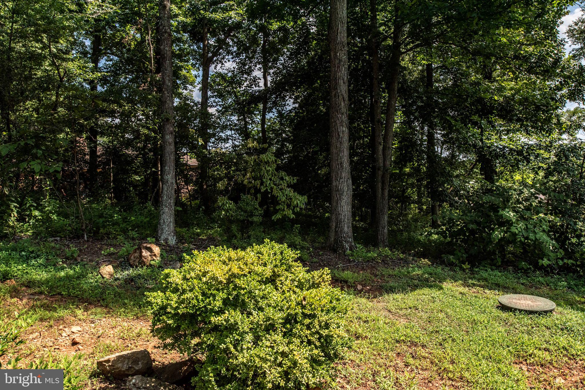 207 Red Hill Road Orange, VA 22960 - Photo 60 of 70 Gallery Image 60