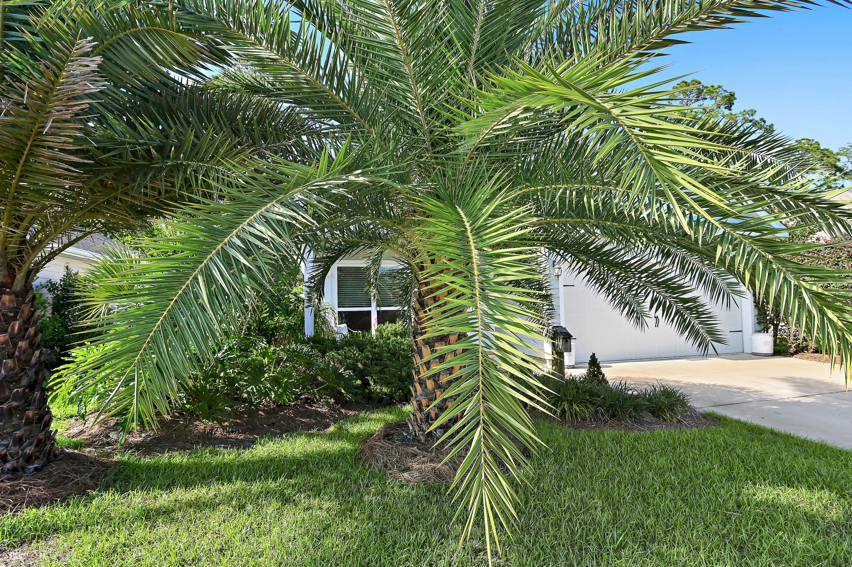 239 Southern Pnes Road Santa Rosa Beach, FL 32459 - Photo 29 of 32 web_239 Southern Pines _14