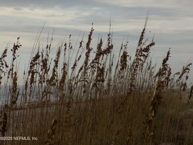 $2,450 | 57 South Fletcher Avenue, Unit A2, Fernandina Beach, FL 32034