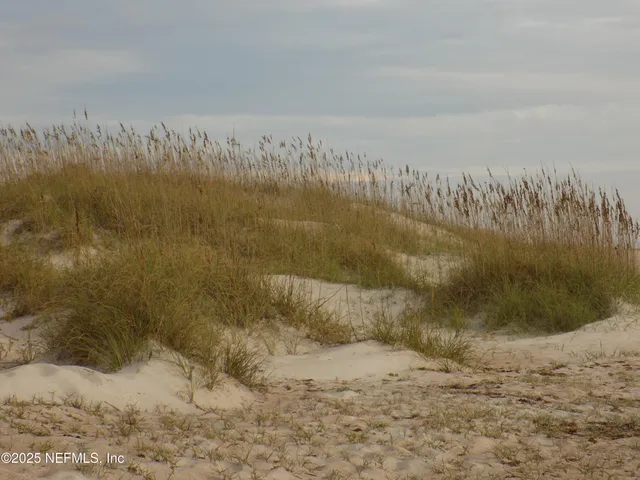 $2,450 | 57 South Fletcher Avenue, Unit A2, Fernandina Beach, FL 32034