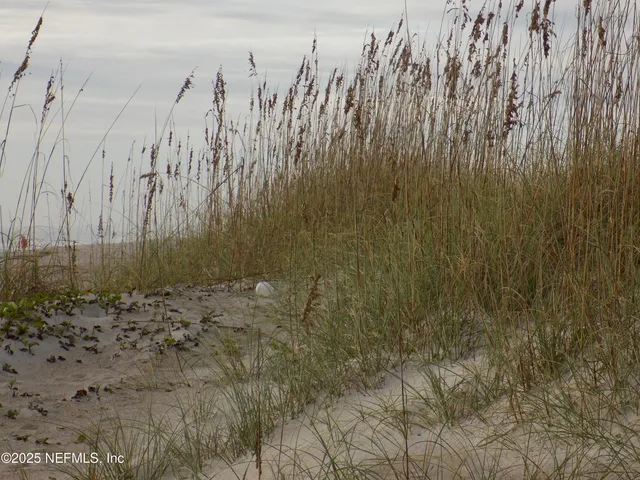 $2,450 | 57 South Fletcher Avenue, Unit A2, Fernandina Beach, FL 32034