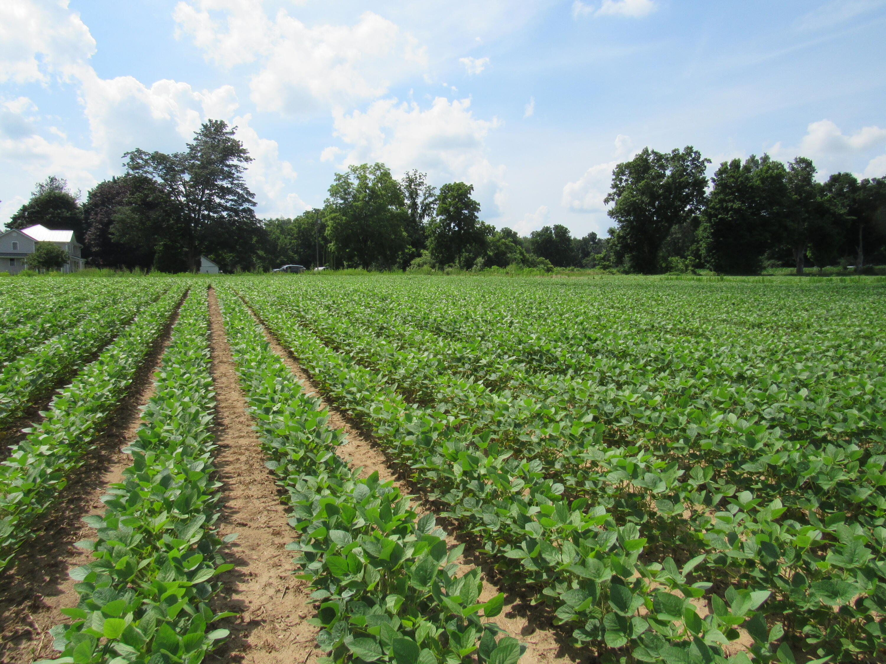Farrand Road Colon, MI 49040 - Photo 1 of 10 IMG_3758