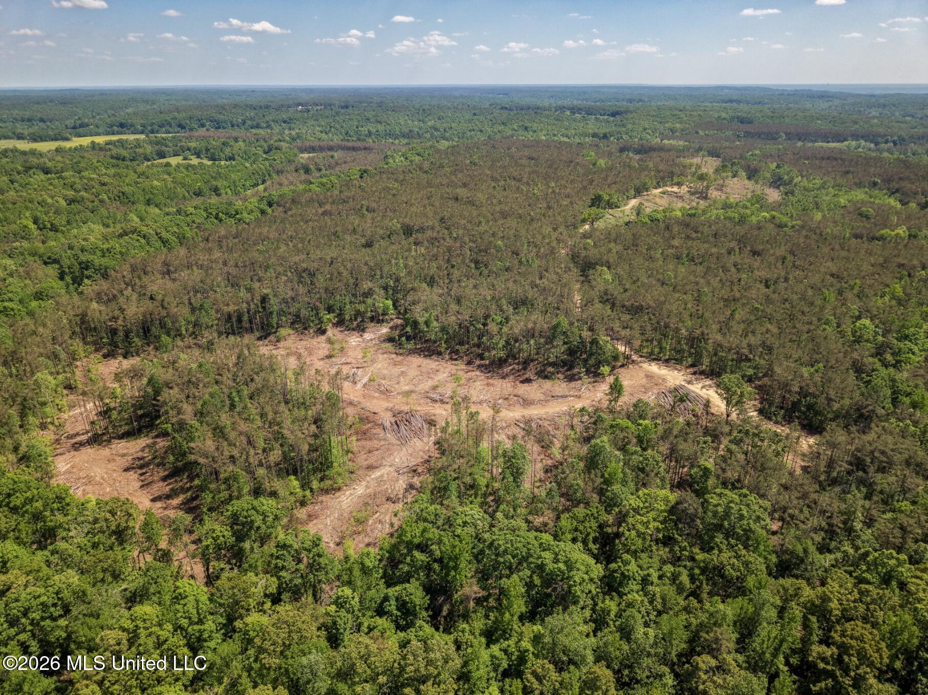 Shook Road Cascilla, MS 38920 - Photo 2 of 15 2