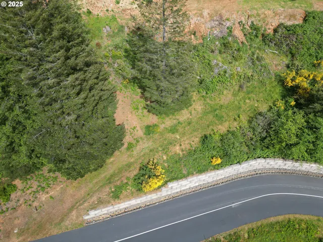 a view of a yard from a window