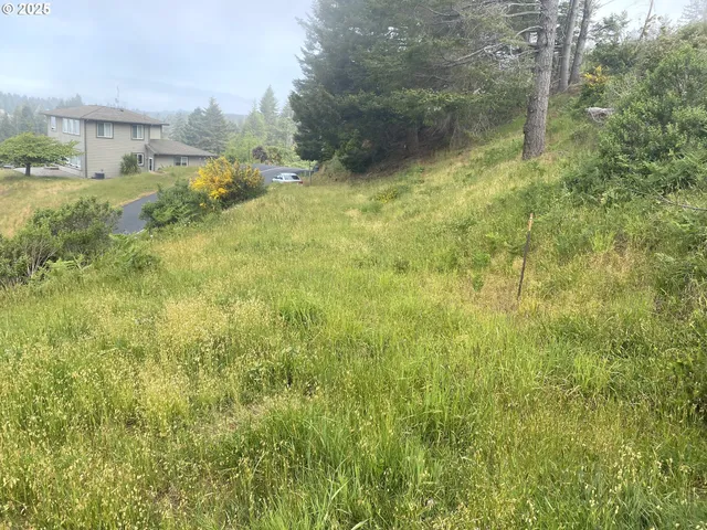 a view of a yard with an outdoor space
