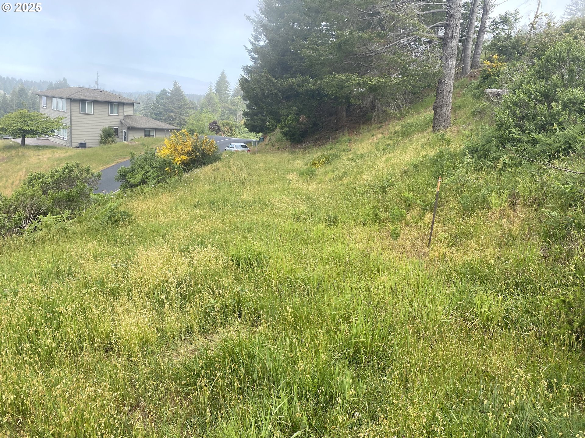 6877 Pacific Terrace Drive Brookings, OR 97415 - Photo 3 of 16 a view of a yard with an outdoor space