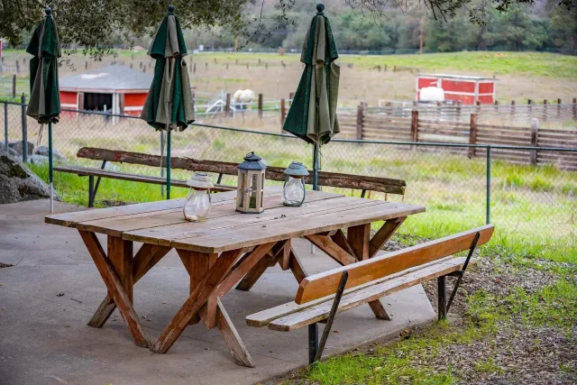 a view of a lake with a mountain