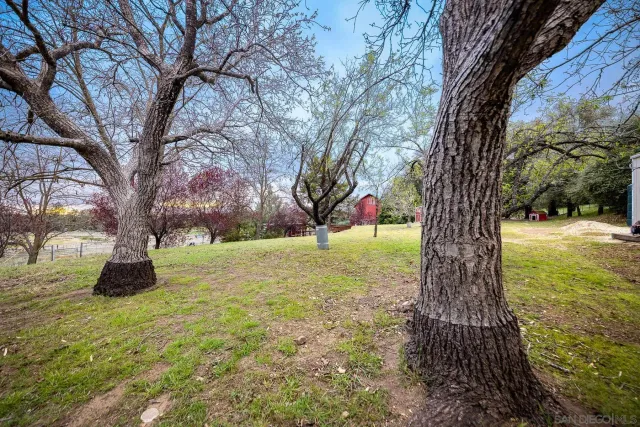 a view of an outdoor space