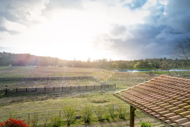 a view of a yard with an outdoor space