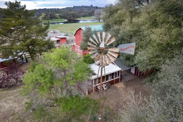 a view of a swimming pool with a yard and plants