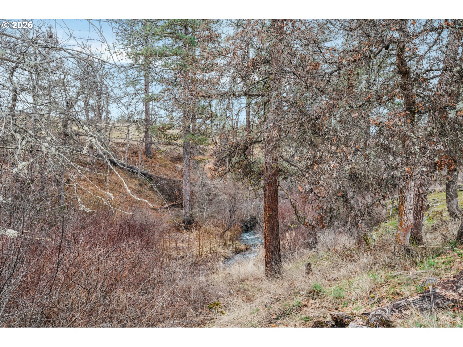 932 Zelinski Road Goldendale, WA 98620 - Photo 34 of 40 a view of a yard