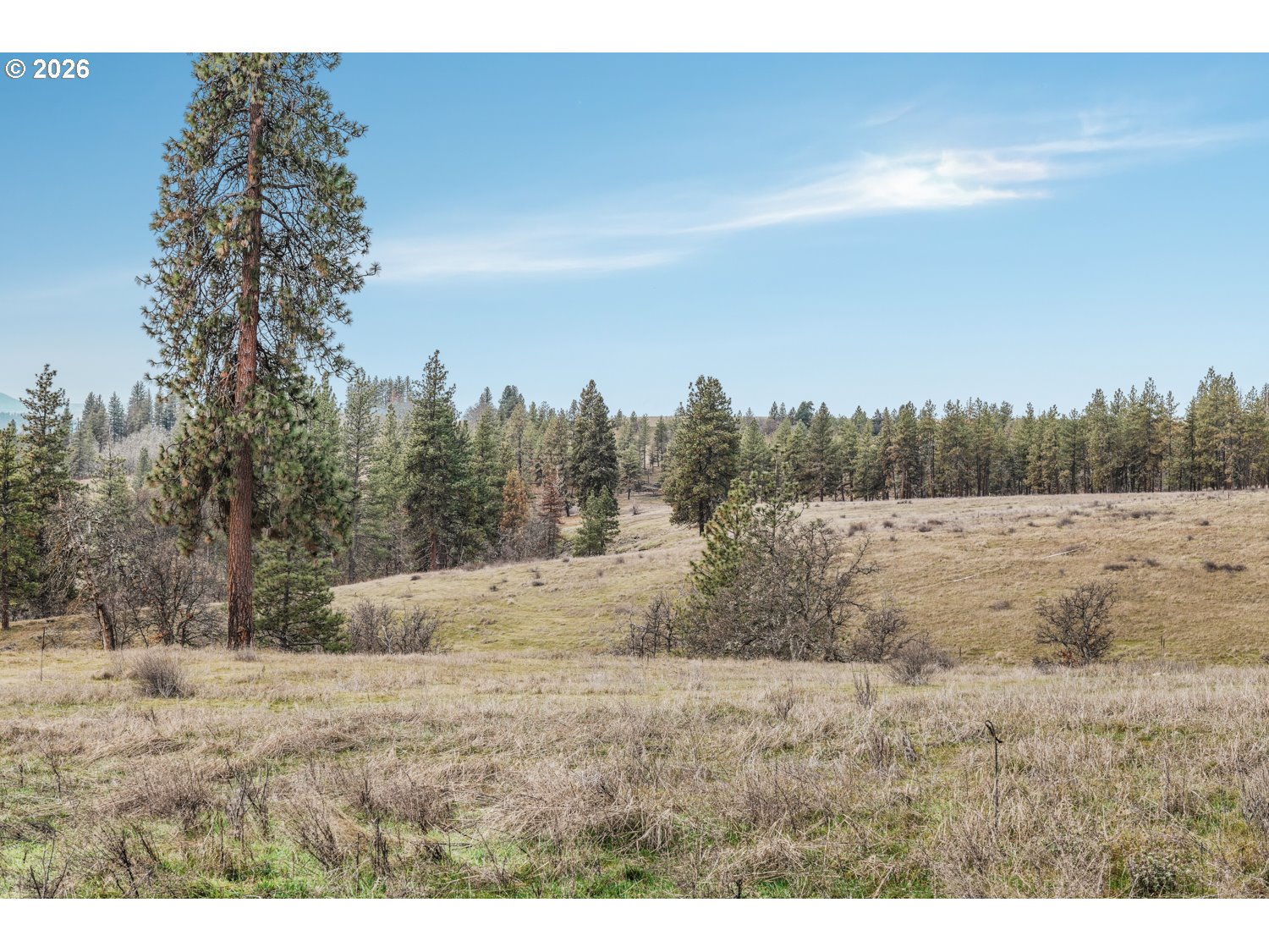 932 Zelinski Road Goldendale, WA 98620 - Photo 35 of 40 a view of a dry yard with trees