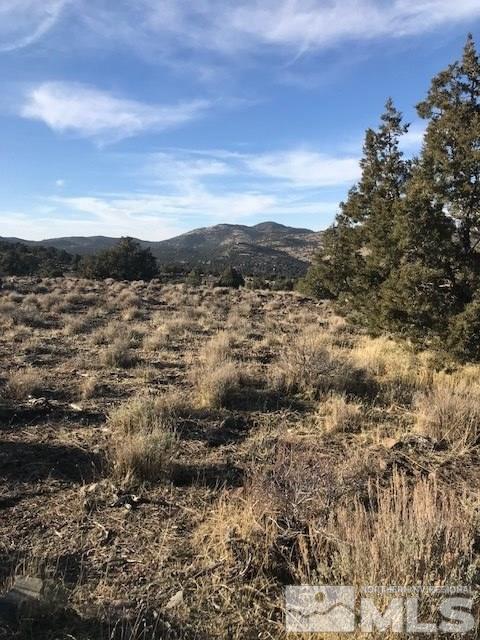 3850 Palisade Road, Unit 385 Reno, NV 89521 - Photo 1 of 4 a view of outdoor space and mountain view