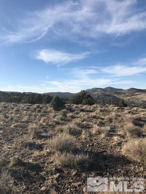 3850 Palisade Road, Unit 385 Reno, NV 89521 - Photo 4 of 4