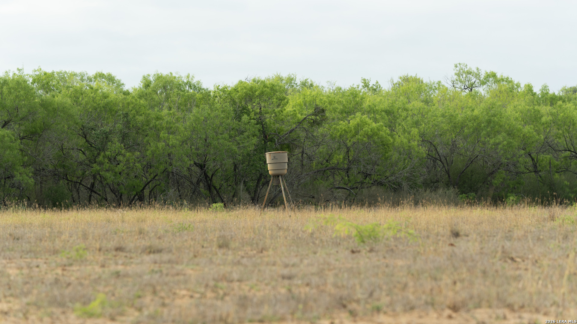 872 Rodriguez Lane Pleasanton, TX 78064 - Photo 1 of 1 a view of a lake view