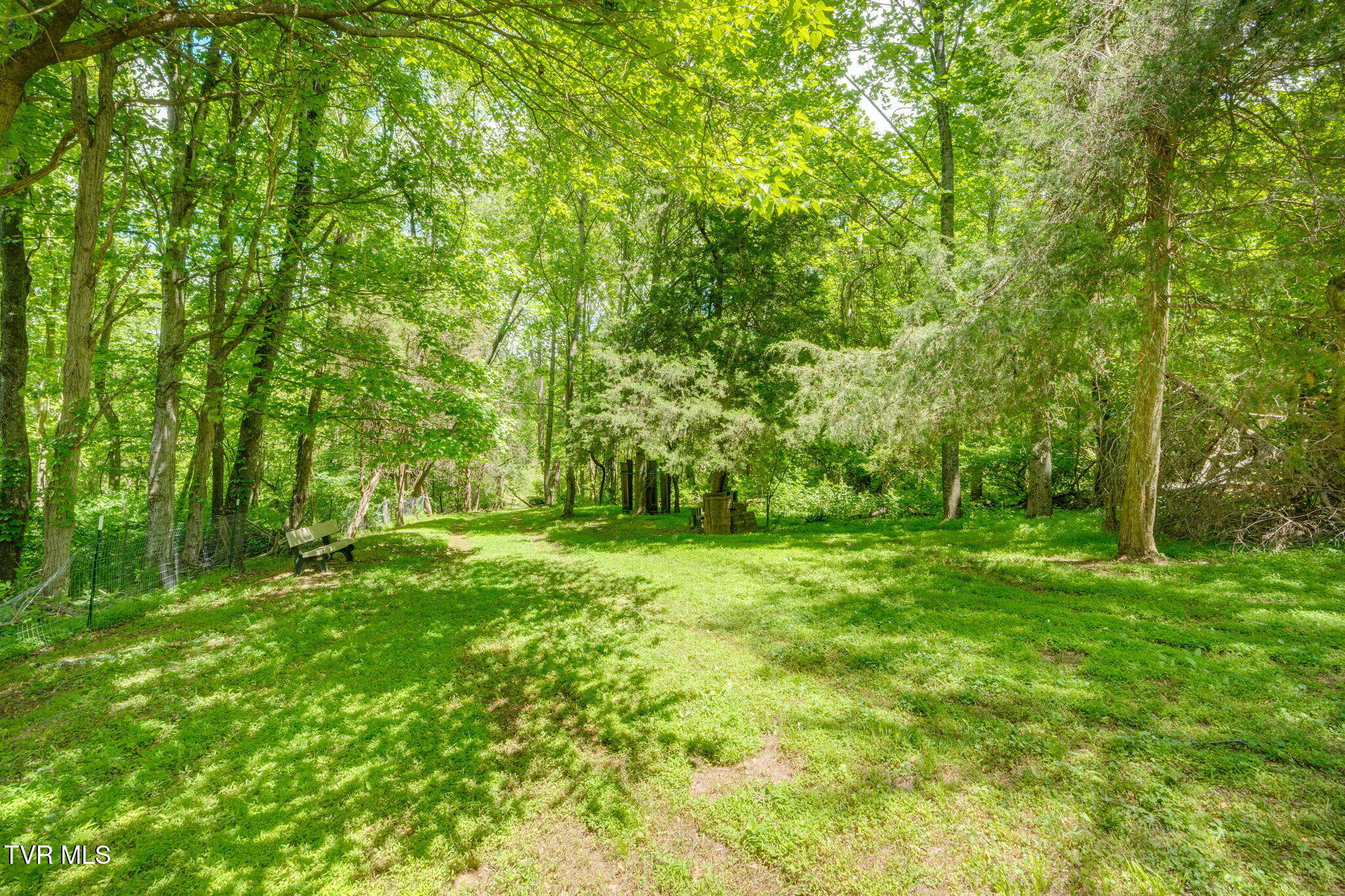 490 Cockatiel Road Limestone, TN 37681 - Photo 57 of 85 051