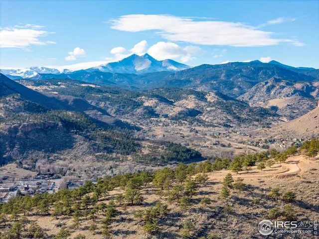 a view of mountains in middle of the forest