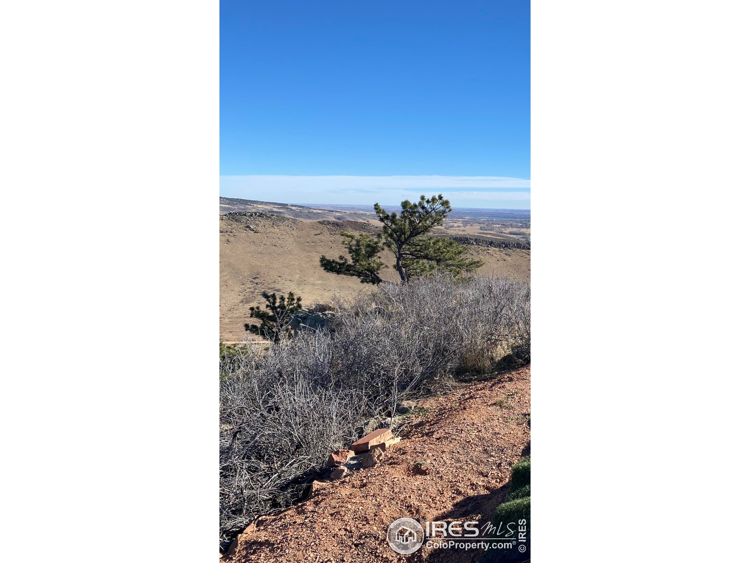 1285 Eagle Ridge Road Lyons, CO 80540 - Photo 21 of 22 a picture of a room