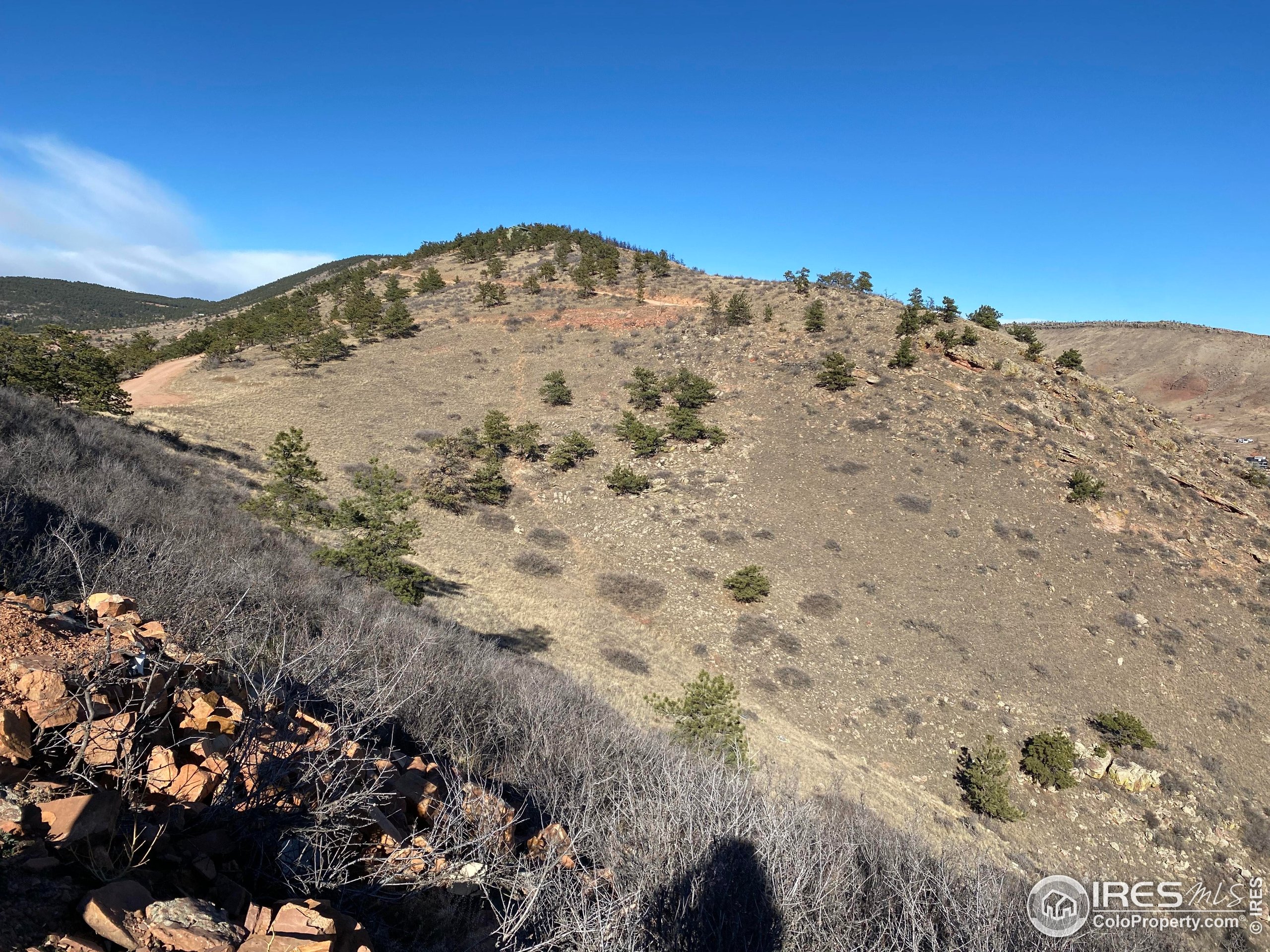 1285 Eagle Ridge Road Lyons, CO 80540 - Photo 3 of 22 a view of a dry yard