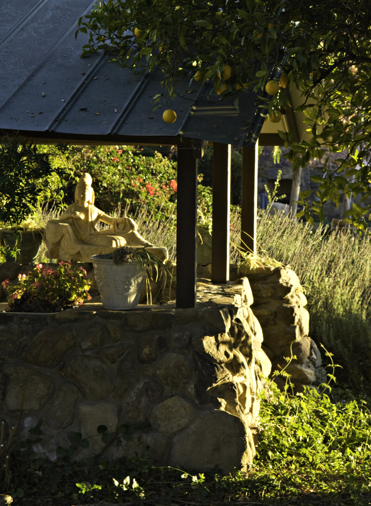 4308 Hendrickson Road Ojai, CA 93023 - Photo 20 of 23 Grounds