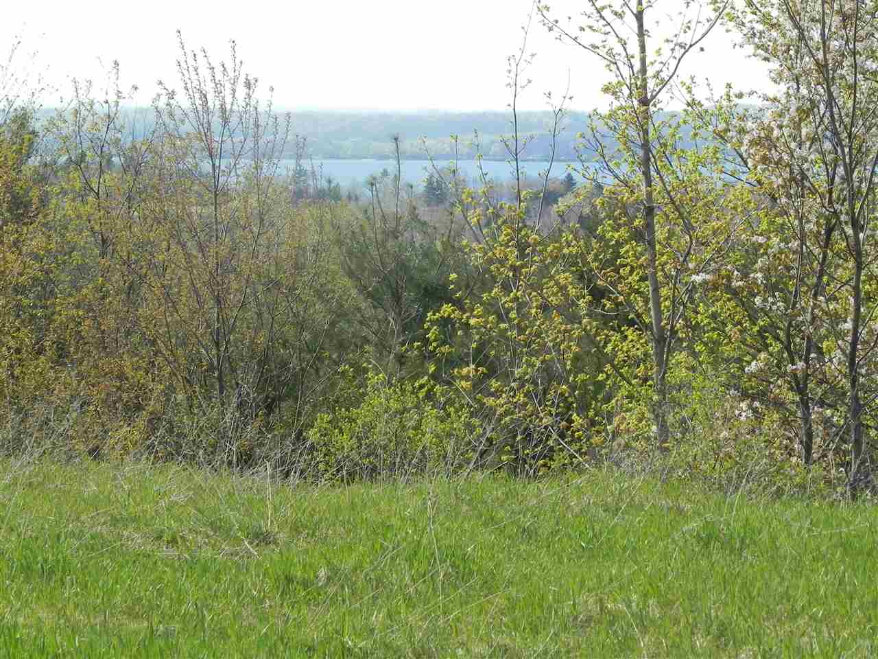 1816013-6.JPG