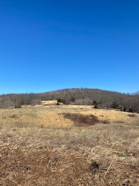 7 Reeder Town Road Byrdstown, TN 38549 - Photo 2 of 10
