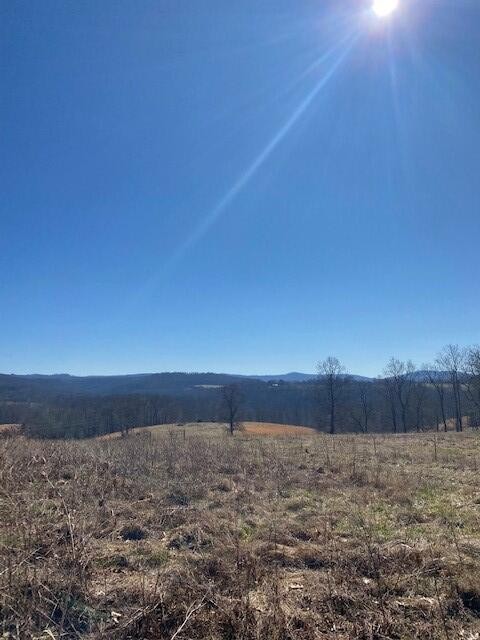 7 Reeder Town Road Byrdstown, TN 38549 - Photo 3 of 10