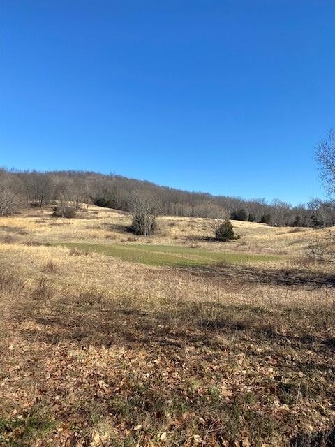7 Reeder Town Road Byrdstown, TN 38549 - Photo 4 of 10